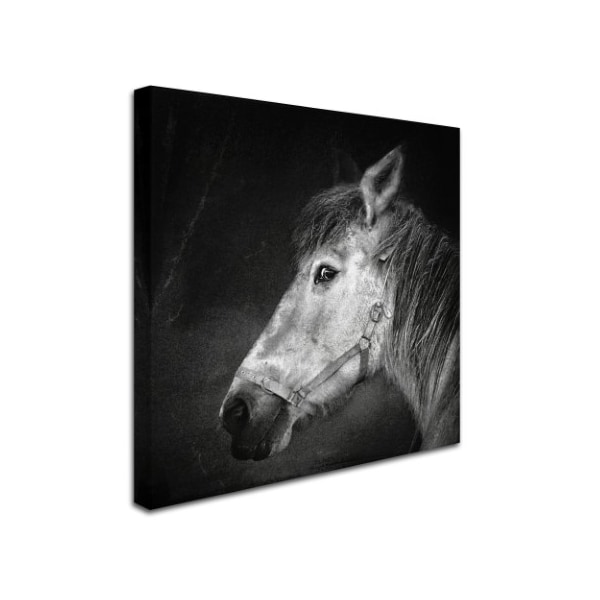 Piet Flour 'Bella' Canvas Art,18x18